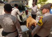 Personil Polsek Cempaka Melaksanakan Pengamanan Pergeseran Surat Suara Pilkades