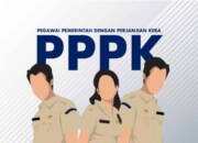 Saat Proses Penetapan NIP, 1781 Calon PPPK 2022 Mengundurkan Diri, Paling Banyak Dari Guru