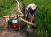 Saluran Irigasi Tak Ngalir, Petani Desa Kuto Sari Gunakan Sumur Bor