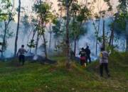 Anggota Polsek Belitang II dan Personil Koramil Lakukan Pemadaman Kebakaran Kebun Karet