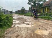 Masyarakat Desa Tulung Harapan Berharap Jalan Rusak dan Berlumpur Segera di Perbaiki