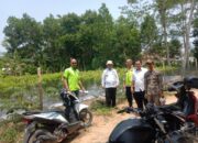 Dukung Ketahanan Pangan, Anggota Polsek Belitang II Lakukan Pengecekan Tanaman Cabai