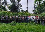 Polsek Semendawai Suku III Panen Jagung Serentak Tahap ke Dua