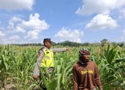 Polsek Belitang II Dukung Program Ketahanan Pangan dengan Pengecekan Lahan Pekarangan
