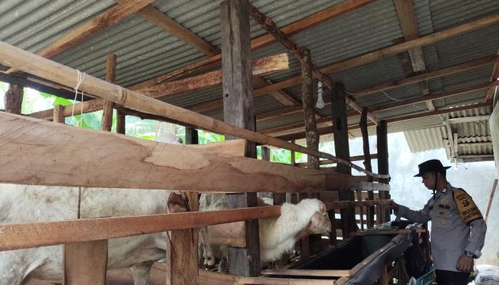 Brigadir Dody Yuristianto Laksanakan Pengecekan Ketahanan Pangan di Desa Purwosari