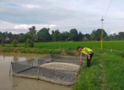 Pengecekan Ketahanan Pangan di Kolam Ikan Lele Desa Sidowaluyo