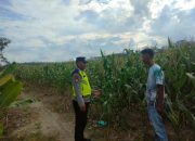 Pengecekan Lahan Pekarangan dalam Rangka Mendukung Program Ketahanan Pangan