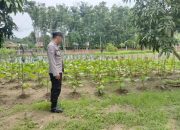 Pengecekan Lahan Pekarangan dalam Rangka Mendukung Program Ketahanan Pangan