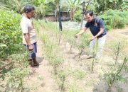 Pengecekan Lahan Pekarangan dalam Rangka Mendukung Program Ketahanan Pangan