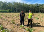 Polsek Belitang II Laksanakan Pengecekan Lahan Ketahanan Pangan di Desa Darmabuana