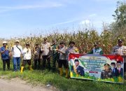 Kegiatan Live Streaming YouTube Panen Raya Jagung Serentak Kuartal II Polres OKU Timur Polsek Belitang II