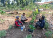 Kanit Binmas Polsek Belitang II Dukung Program Ketahanan Pangan