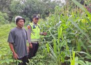 Bhabinkamtibmas Polsek Belitang II Laksanakan Giat Ketahanan Pangan