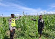Personil Polsek Belitang II Laksanakan Giat Ketahanan Pangan