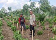 Personil Polsek Belitang II Laksanakan Giat Ketahanan Pangan
