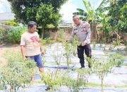 Kanit Binmas Polsek Belitang II Laksanakan Pengecekan Lahan Pekarangan dalam Rangka Mendukung Program Ketahanan Pangan