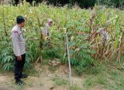 Kapolsek Semendawai Suku III Ajak Warga Manfaatkan Lahan Kosong untuk Pertanian