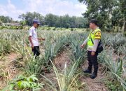 AIPDA Octovianus, SH Laksanakan Giat Ketahanan Pangan di Desa Sumber Rejo