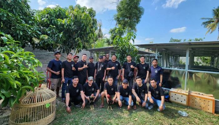Ternak Ayam, Peluang Usaha yang Menjanjikan di OKU Timur