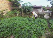 Pengecekan Lahan Ketahanan Pangan di Desa Sidowaluyo