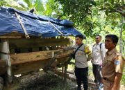 Polsek Semendawai Suku III Lakukan Pengecekan Kambing dalam Rangka Mendukung Ketahanan Pangan Nasional