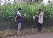 Pengecekan Lahan Ketahanan Pangan di Desa Mulyasari