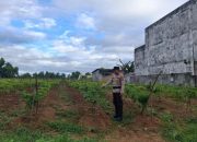 Pengecekan Lahan Ketahanan Pangan di Desa Sumber Sari