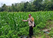 Bhabinkamtibmas Desa Purwodadi Laksanakan Pengecekan Lahan Pekarangan untuk Mendukung Ketahanan Pangan