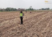 Polsek Semendawai Suku III Lakukan Pengecekan Lahan Jagung di Desa Karang Melati