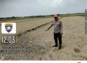 Pengecekan Lahan Jagung di Desa Tulung Harapan