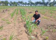 Kanit Reskrim Polsek Semendawai Suku III Lakukan Pengecekan Ketahanan Pangan