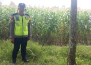 Polsek Semendawai Suku III Dukung Ketahanan Pangan Nasional dengan Pengecekan Lahan Pertanian