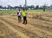 Pengecekan Lahan Jagung di Desa Tulung Harapan