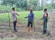 Pengecekan Lahan Ketahanan Pangan di Desa Purworejo: Upaya Mendukung Ketersediaan Pangan