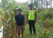 Polsek Semendawai Suku III Lakukan Pengecekan Tanaman Jagung untuk Dukung Ketahanan Pangan Nasional