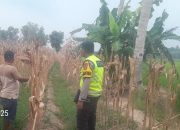 Polsek Semendawai Suku III Berikan Motivasi kepada Petani Jagung Desa Taman Harjo