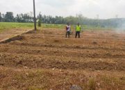 Pengecekan Ketahanan Pangan di Desa Taman Mulyo