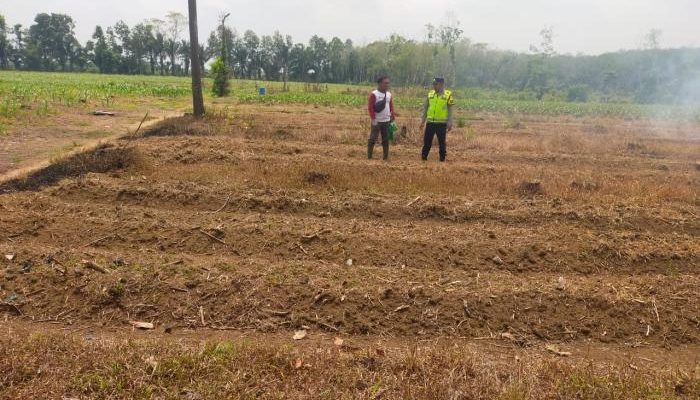 Pengecekan Ketahanan Pangan di Desa Taman Mulyo