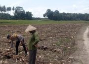 Polsek Semendawai Suku III Lakukan Pengecekan Ketahanan Pangan di Desa Nirwana