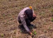 Bhabinkamtibmas Polsek Semendawai Suku III Lakukan Pengecekan Ketahanan Pangan di Desa Karang Melati