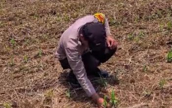 Polsek Semendawai Suku III Lakukan Pengecekan Ketahanan Pangan di Desa Karang Menjangan