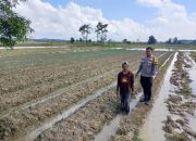 Polsek Semendawai Suku III Lakukan Pengecekan Tanaman Daun Bawang di Desa Taraman Jaya