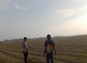 Pengecekan Ketahanan Pangan di Desa Karang Menjangan, Bhabinkamtibmas Polsek Semendawai Suku III Pastikan Ketersediaan Pangan Stabil