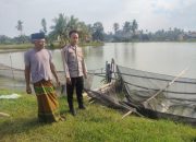 Polsek Belitang II Lakukan Pengecekan Ketahanan Pangan di Desa Margomulyo