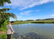 Bhabinkamtibmas Polsek Belitang II Lakukan Pengecekan Lahan Pekarangan untuk Mendukung Ketahanan Pangan
