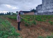 Bhabinkamtibmas Polsek Semendawai Suku III Lakukan Pengecekan Tanaman Cabai di Desa Jaya Mulya