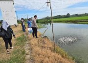 Polsek Semendawai Suku III Lakukan Pengecekan Kolam Lele dalam Rangka Mendukung Ketahanan Pangan Nasional