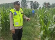 Pengecekan Ketahanan Pangan di Desa Karang Menjangan