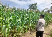 Anggota Polsek Semendawai Suku III Lakukan Pengecekan Ketahanan Pangan di Desa Karang Melati