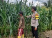 Bhabinkamtibmas Polsek Semendawai Suku III Lakukan Pengecekan Ketahanan Pangan di Desa Taman Agung